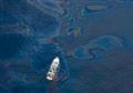 Speeding up nature’s oil spill cleaners